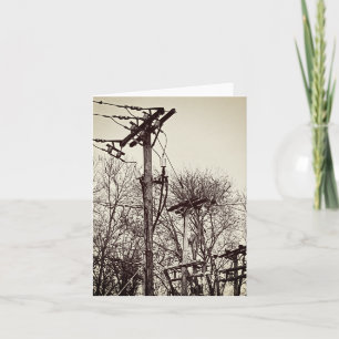 Grungy Telephone Poles Photo Note Card