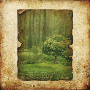 Grungy Tree Scrapbook Paper