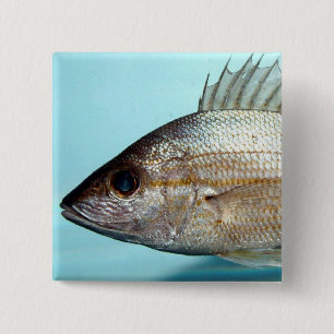 Grunt Fish 15 Cm Square Badge