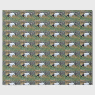 Grus japonensis wrapping paper