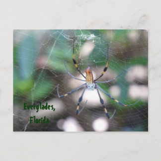 Grüße aus Florida Grußkarte Postkarte Postcard