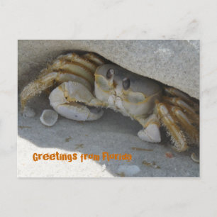 Grüße aus Florida Grußkarte Postkarte Postcard