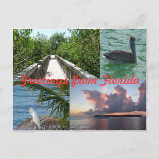 Grüße aus Florida Grußkarte Postkarte Postcard