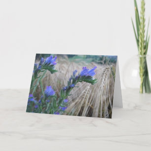 Grusskarte Kornblumen Card