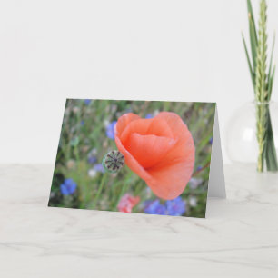 Grusskarte Mohnblumenherz, blanko, gestaltbar Card
