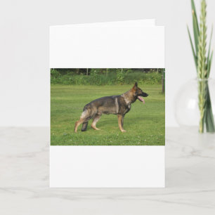 gsd full sable card