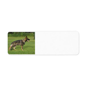 gsd full sable return address label