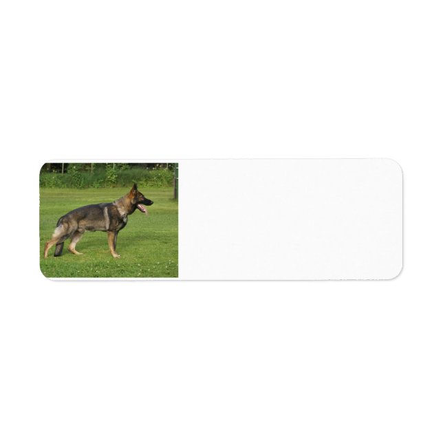 gsd full sable return address label (Front)