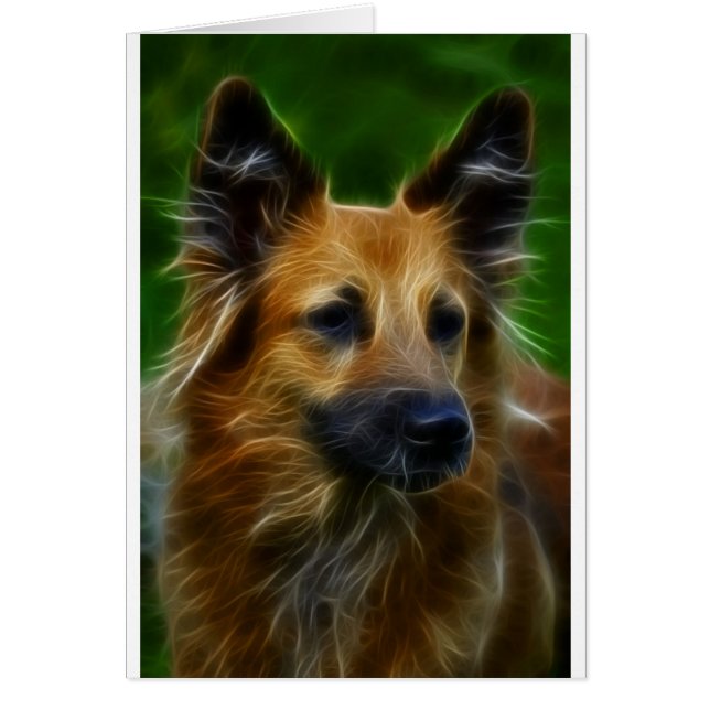 GSD German Shepherd pic (Front)