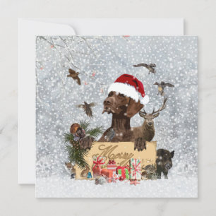Gsp ,Dog christmas   