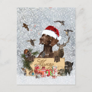 Gsp ,Dog christmas     Holiday Postcard