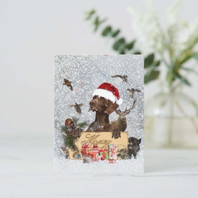 Gsp ,Dog christmas    Postcard (Standing Front)