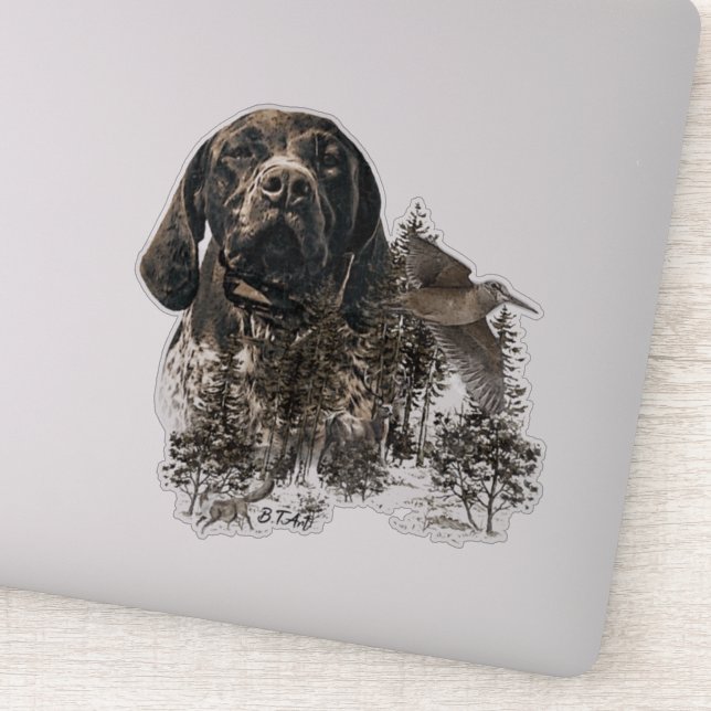 GSP, German Shorthaired Pointer (Detail)