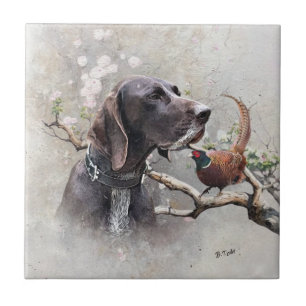 GSP Hunting Art – Precision, Passion, and Pheasant Ceramic Tile