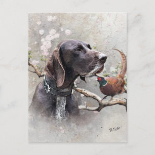GSP Hunting Art – Precision, Passion, and Pheasant Holiday Postcard