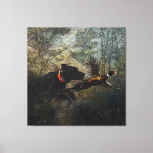 GSP , Hunting pheasant Canvas Print