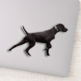 GSP pointer  Sticker