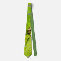 GTP Tie