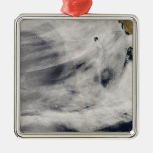 Guadalupe Island Metal Tree Decoration