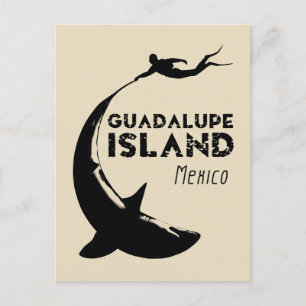 Guadalupe Island Mexico Scuba Diving With Sharks Postcard