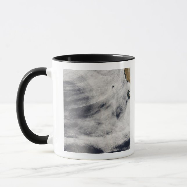 Guadalupe Island Mug (Left)