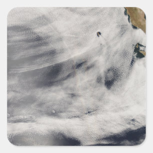 Guadalupe Island Square Sticker