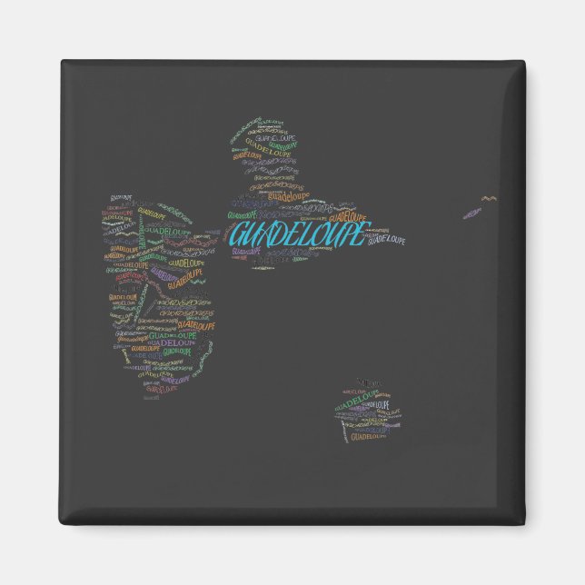 GUADALUPE MAGNET (Front)