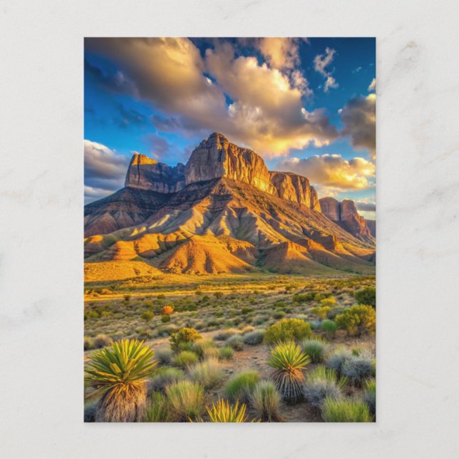 Guadalupe Mountains National Park Golden Hour Postcard (Front)