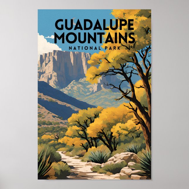 Guadalupe Mountains National Park Poster (Front)