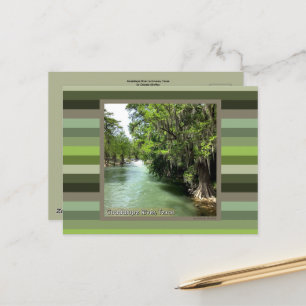 Guadalupe River in Gruene, Texas  Postcard