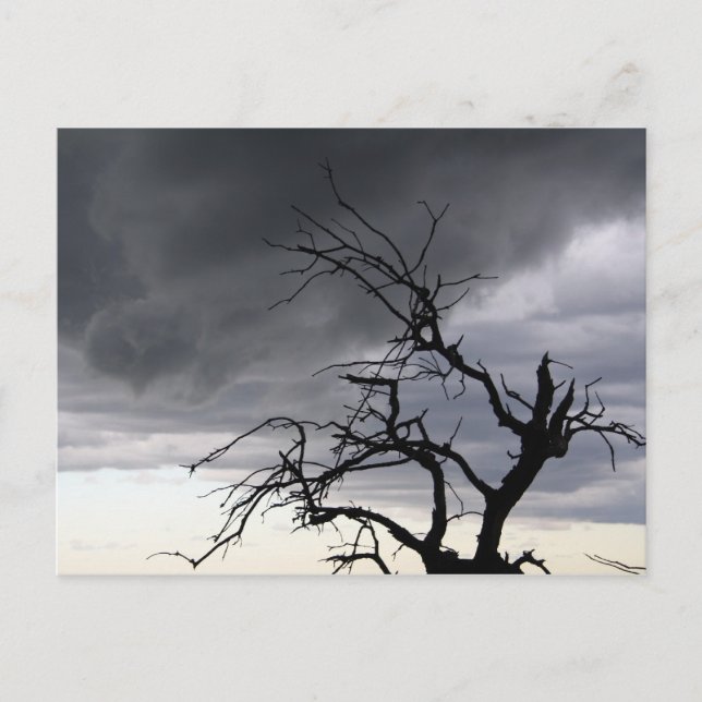 Guadalupe Storm Postcard (Front)