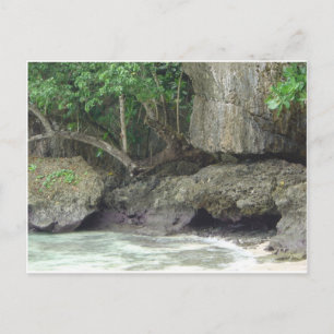 Guam Lava Beach Postcard