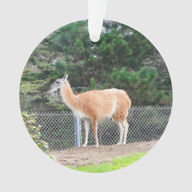 Guanaco #1 Ornament (Front)