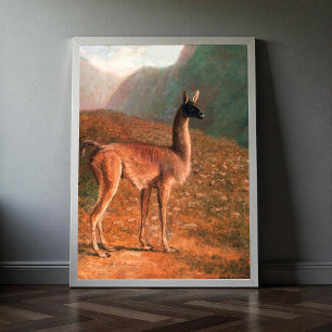 Guanaco (ca. 1848) painting by Jacques–Laurent Ag Poster