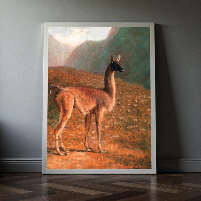 Guanaco (ca. 1848) painting  by Jacques–Laurent Ag Poster (Creator Uploaded)