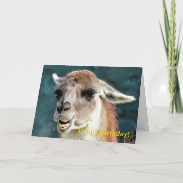 GUANACO CARD (Front)