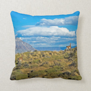 Guanaco Country, Patagonia Cushion