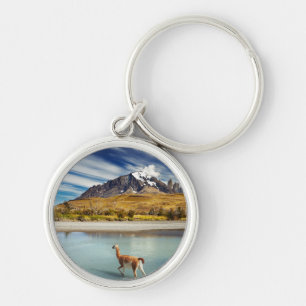 Guanaco crossing the river in Torres del Paine Key Ring