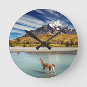 Guanaco crossing the river in Torres del Paine Round Clock