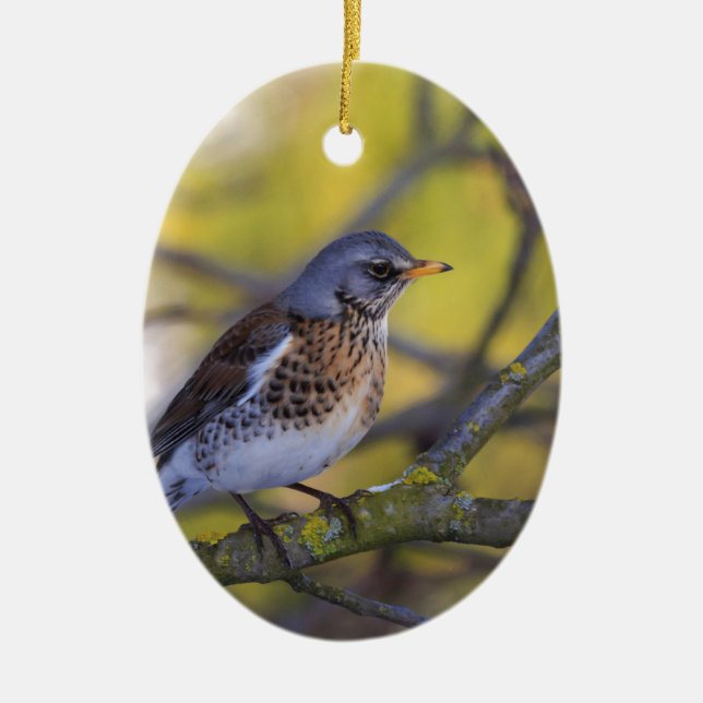 guard ceramic ornament (Front)