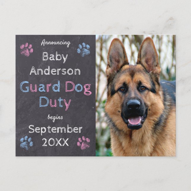 Guard Dog Duty Begins Pregnancy Announcement (Front)
