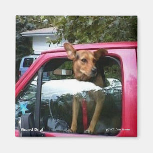 Guard Dog! Magnet