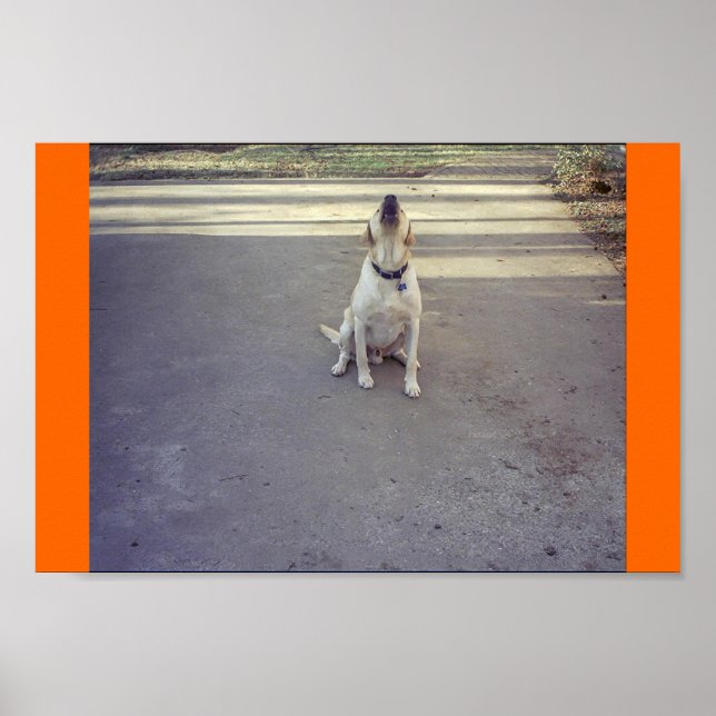 Guard Dog Poster (Front)