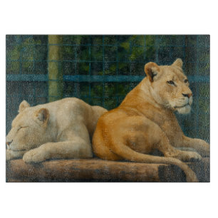 Guarded Rest – Lion Pair in Sanctuary Setting Cutting Board