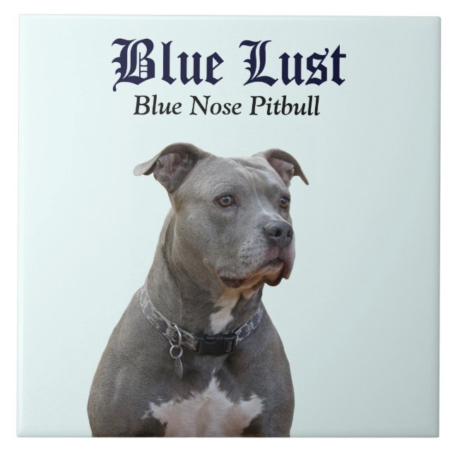 Guardian Blue Lust Pitbull Ceramic Tile (Front)
