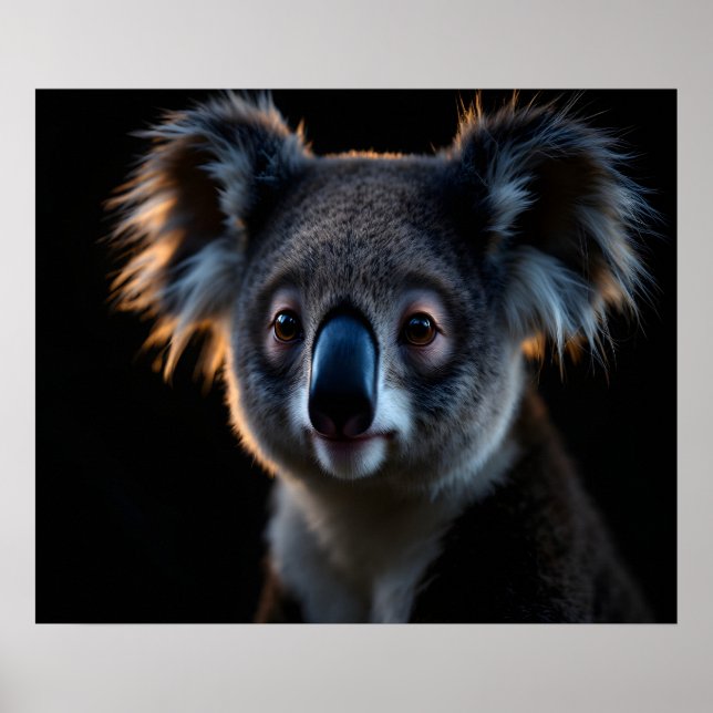 Guardian Calm Koala – Cinematic Night Wildlife Por Poster (Front)