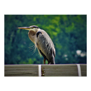 "Guardian of Opportunity" Photo Print