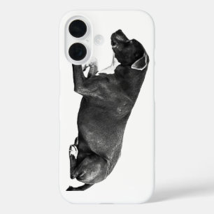 Guardian Spirit of Autumn Evenings iPhone 16 Case