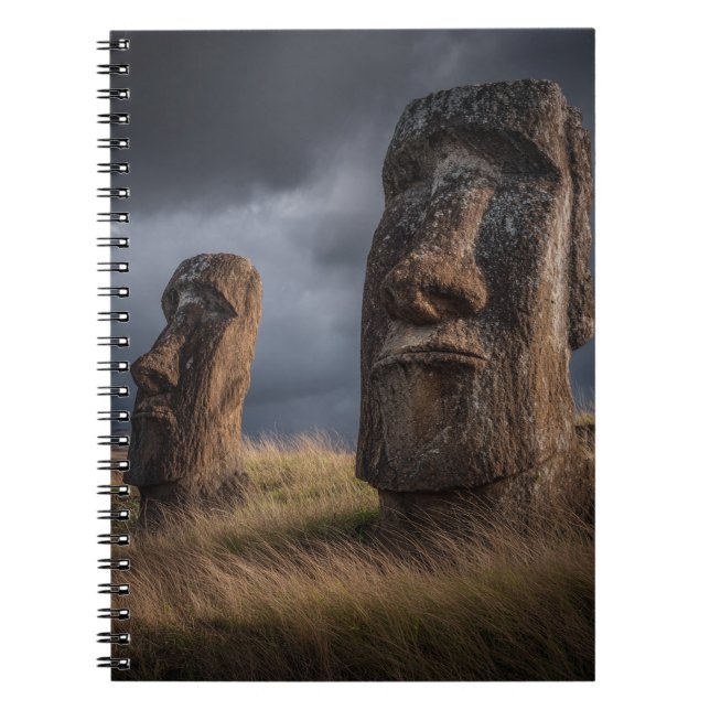 Guardians of Rapa Nui Notebook (Front)