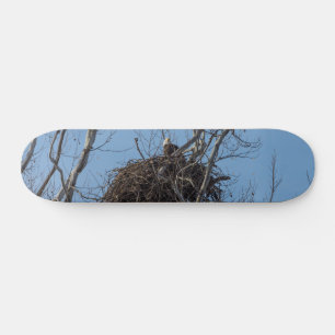 Guarding Eagle Skateboard